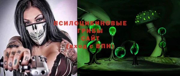 гидра Гусиноозёрск