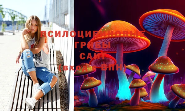 таблы Дмитриев