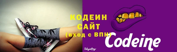 гидра Гусиноозёрск