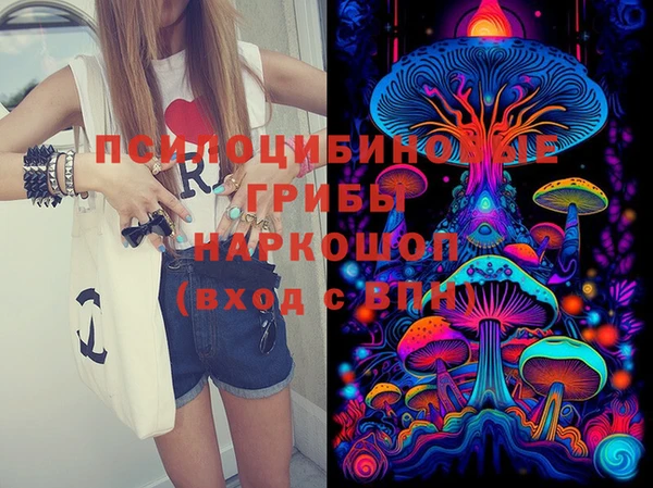 стафф Дмитровск