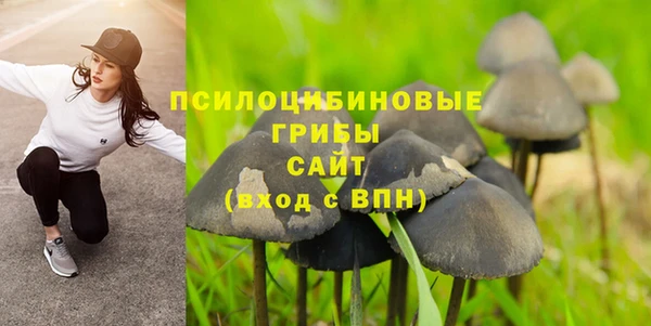 стафф Дмитровск